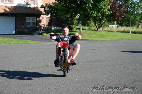 Photo 169173