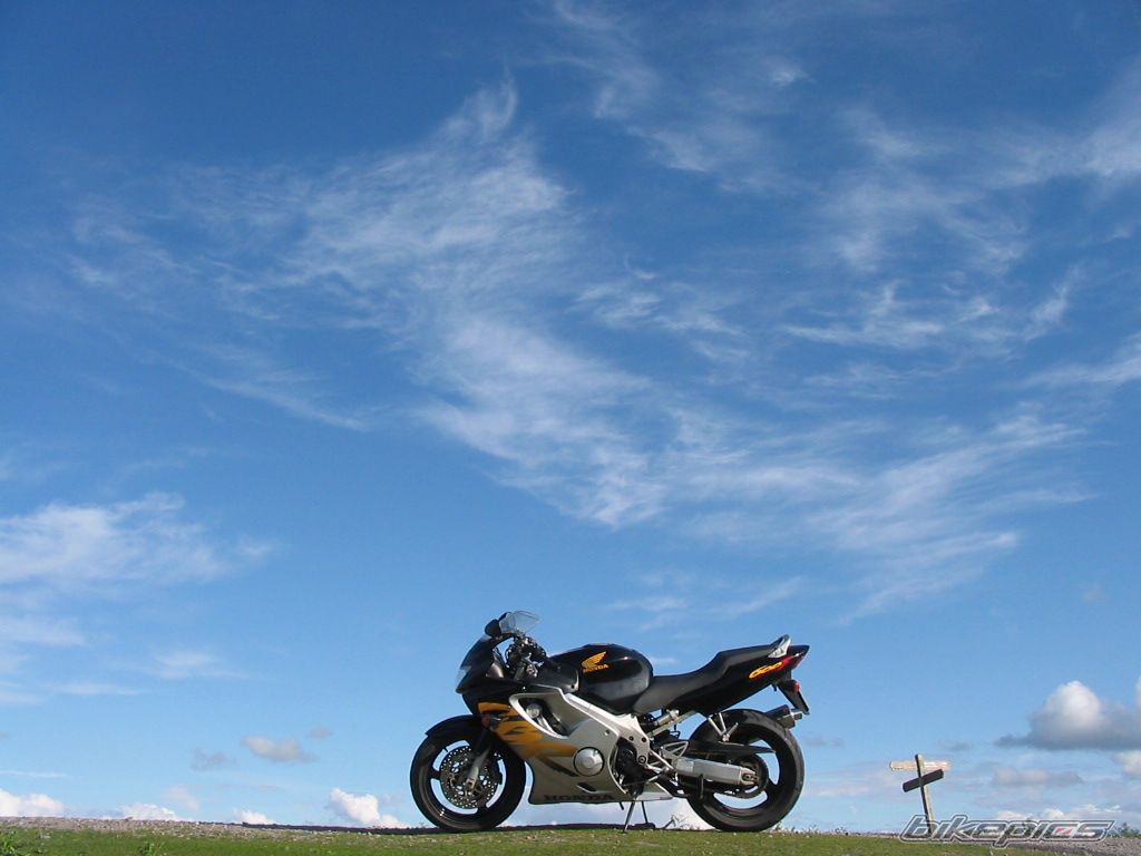 Photo 1691744