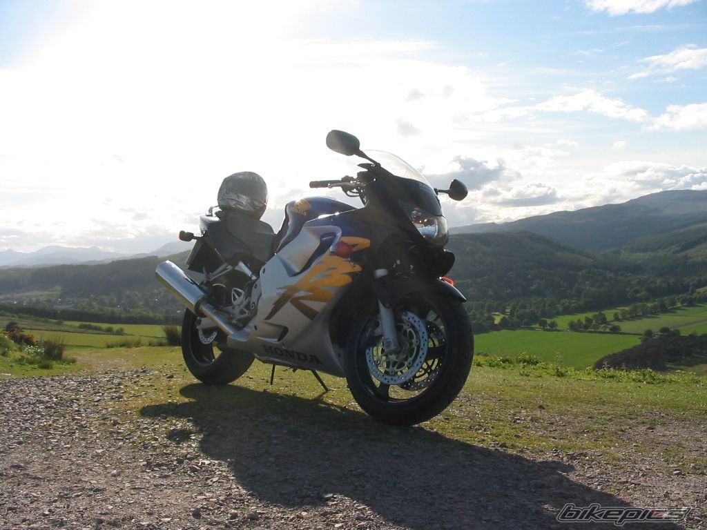 Photo 1691746