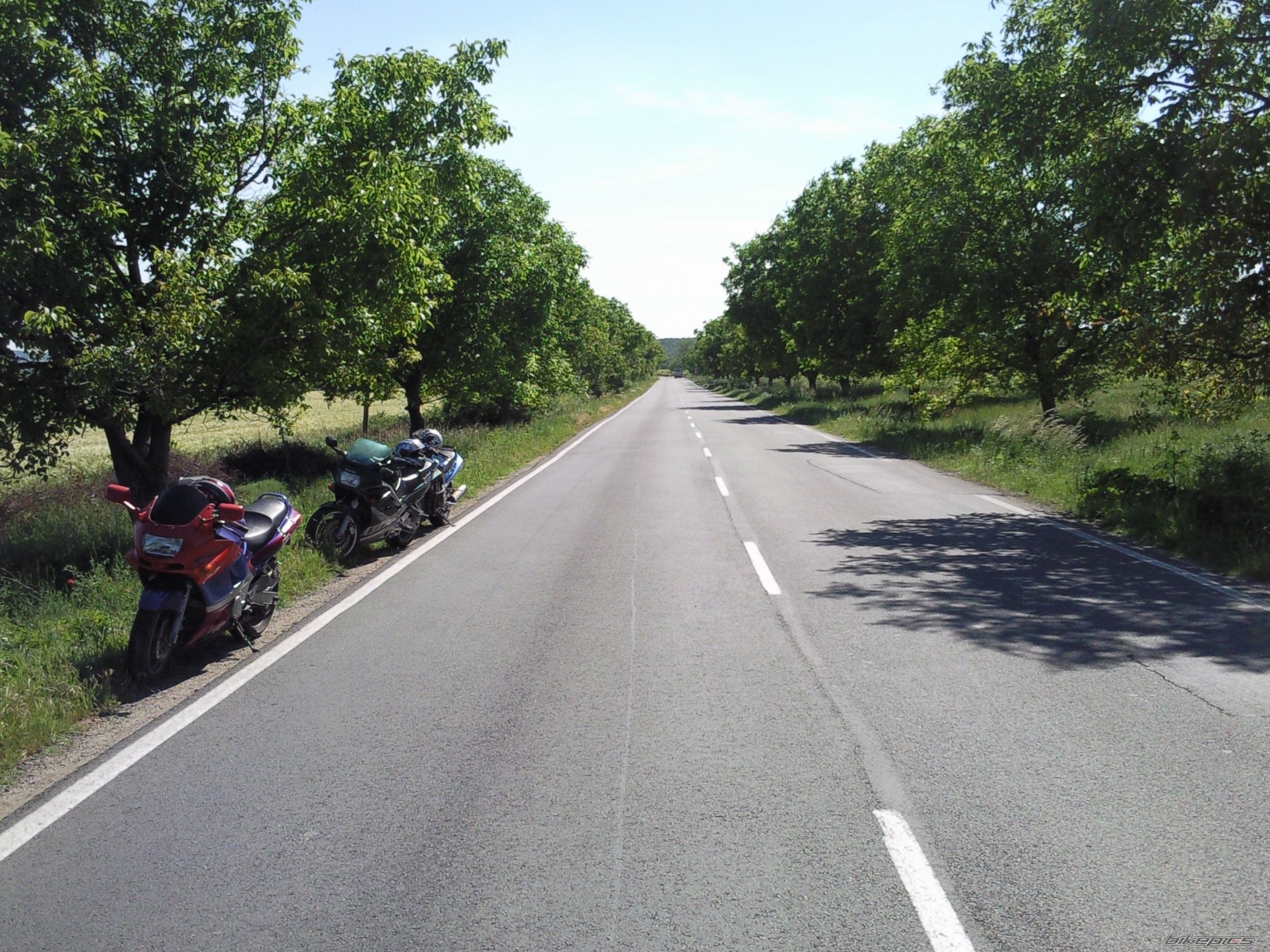 Photo 1691814