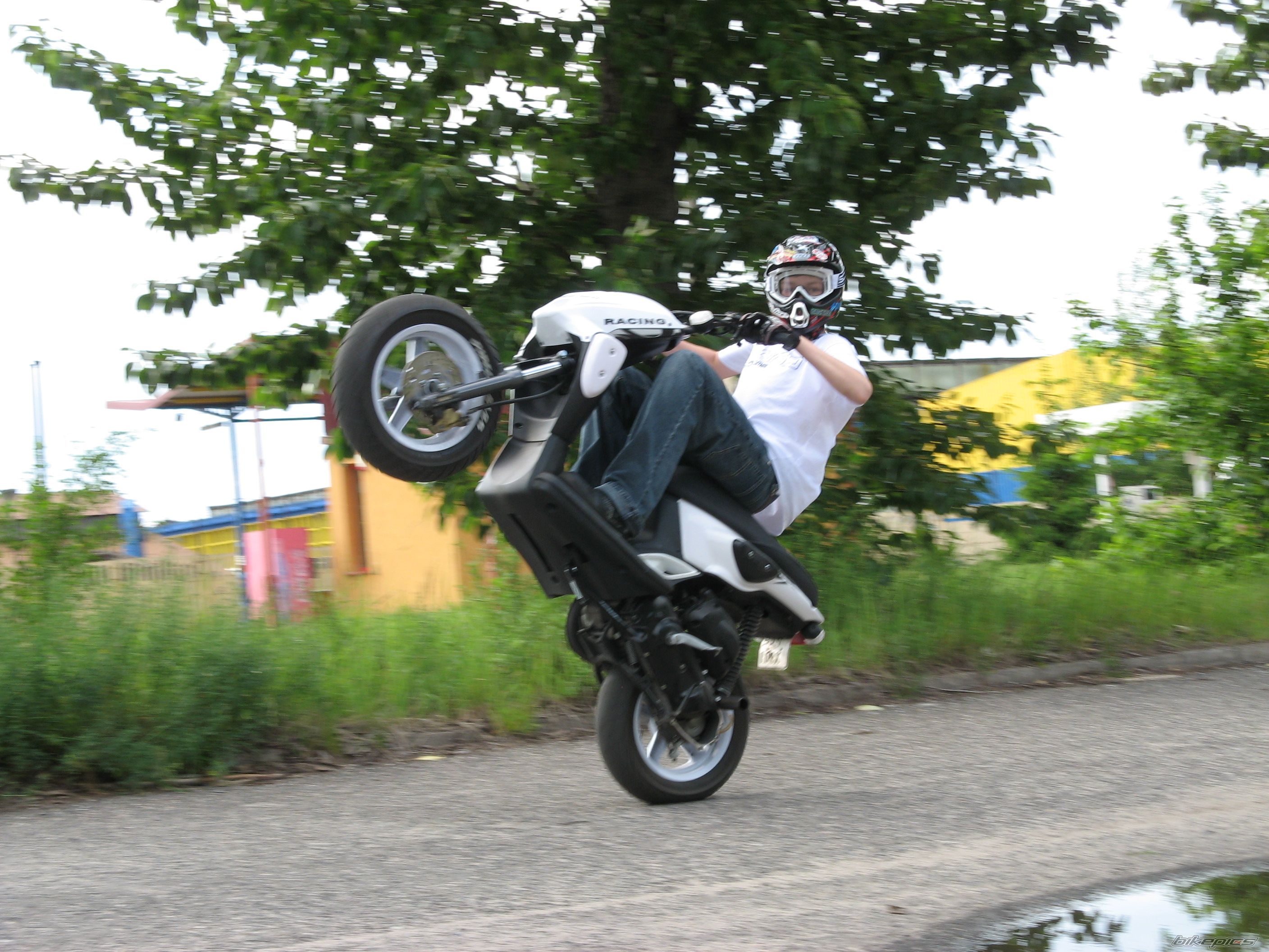 Photo 1691860