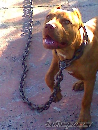Photo 1692055