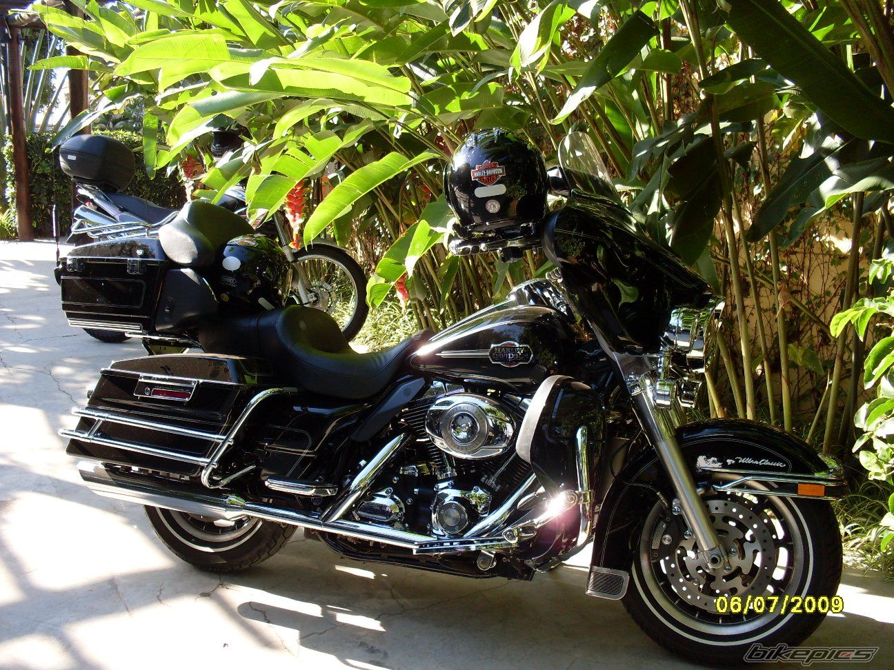 Photo 1692172