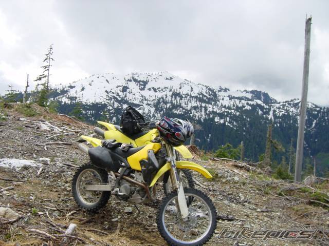 Photo 169225