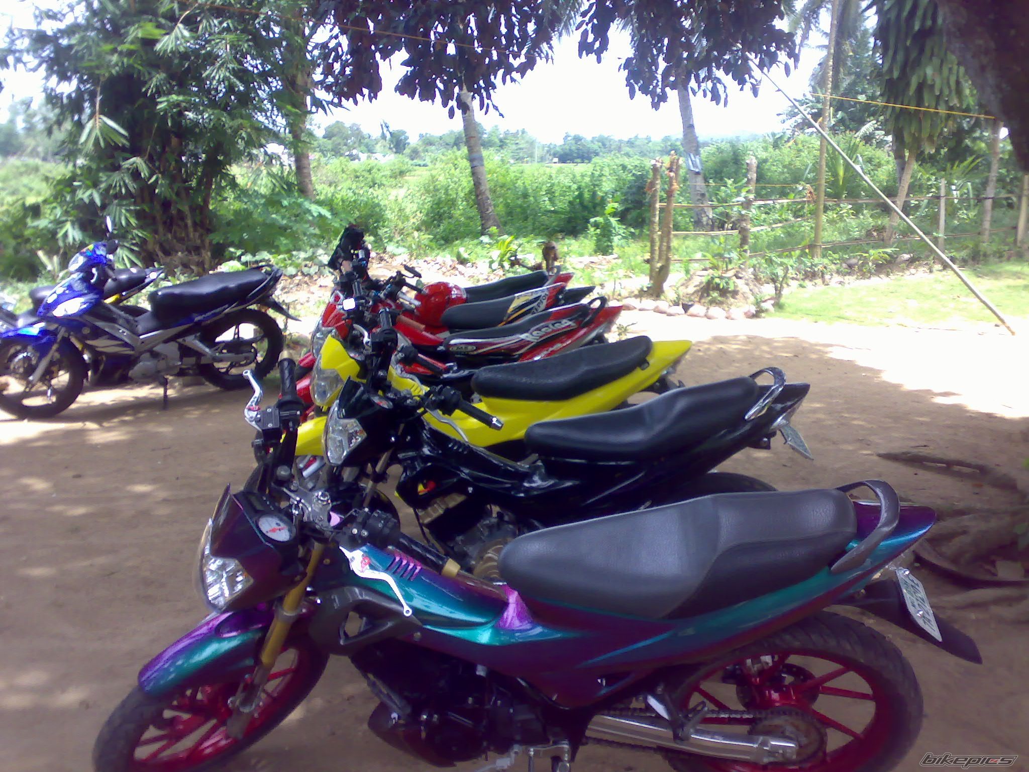 Photo 1692267