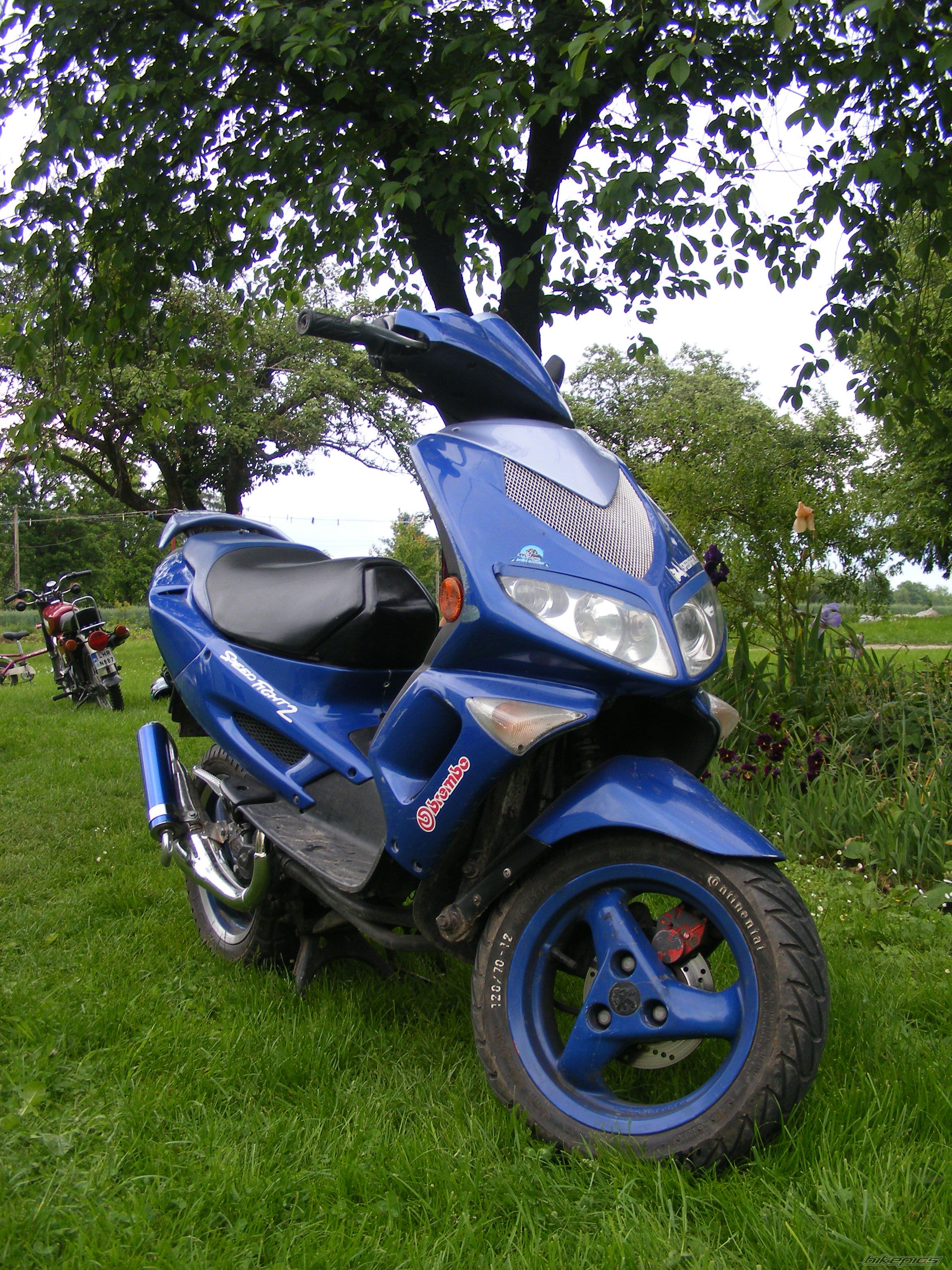 Photo 1692293