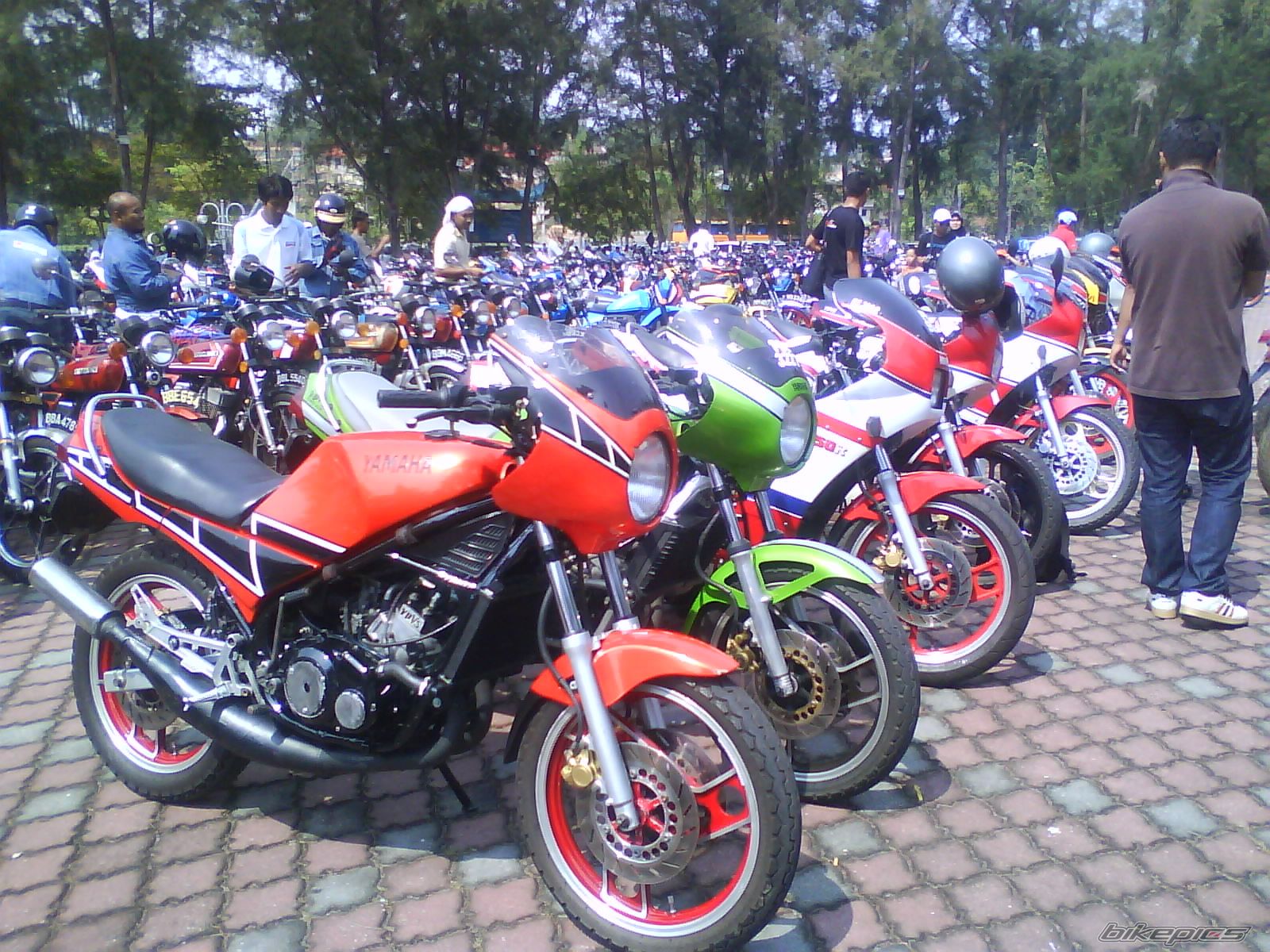 Photo 1692341