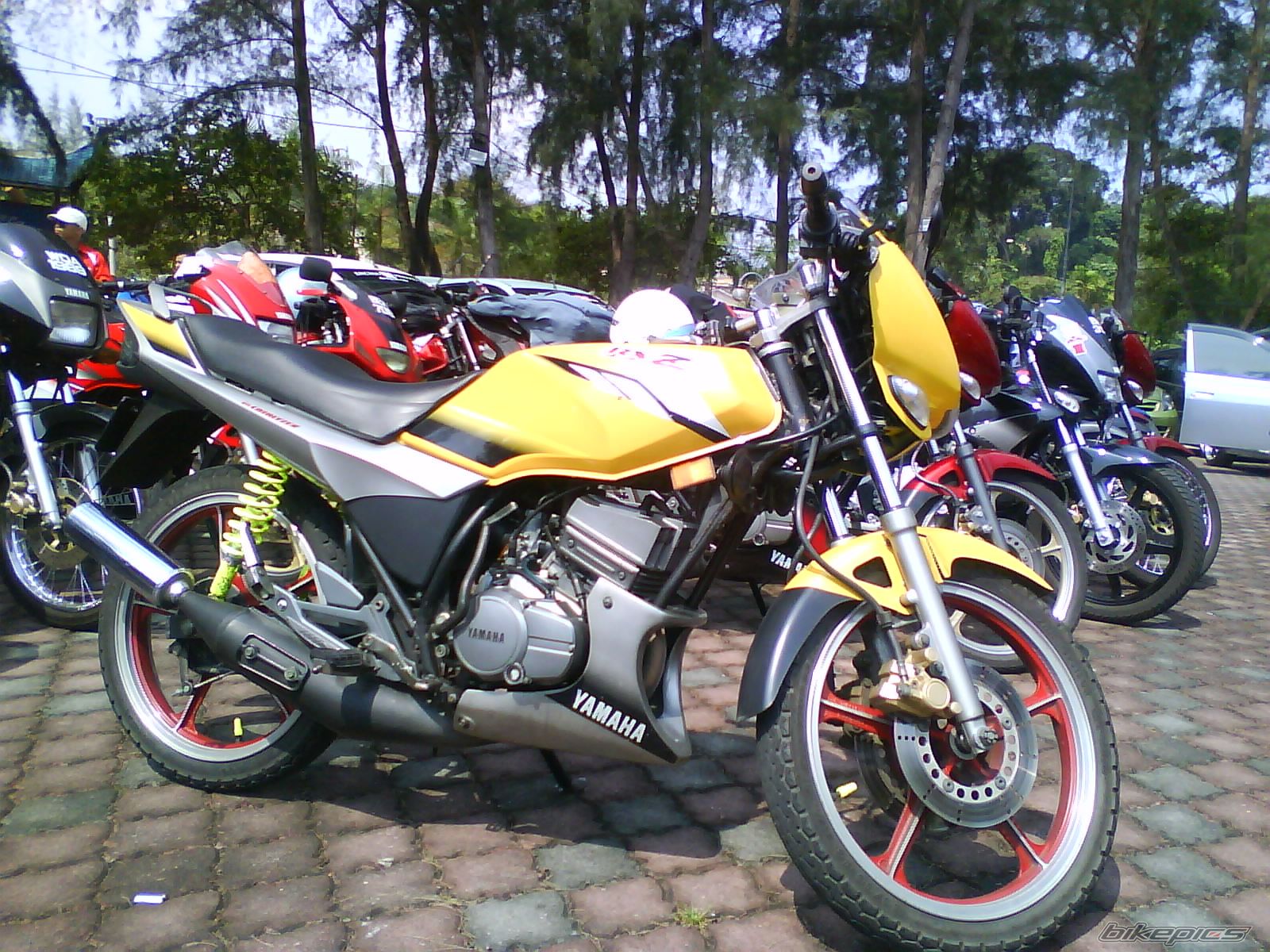 Photo 1692353