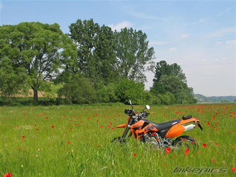 Bike Photo 169243