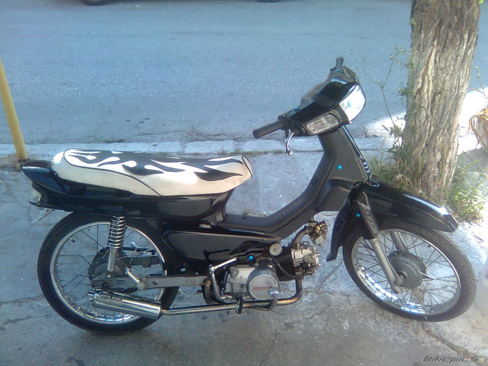 Photo 1692447