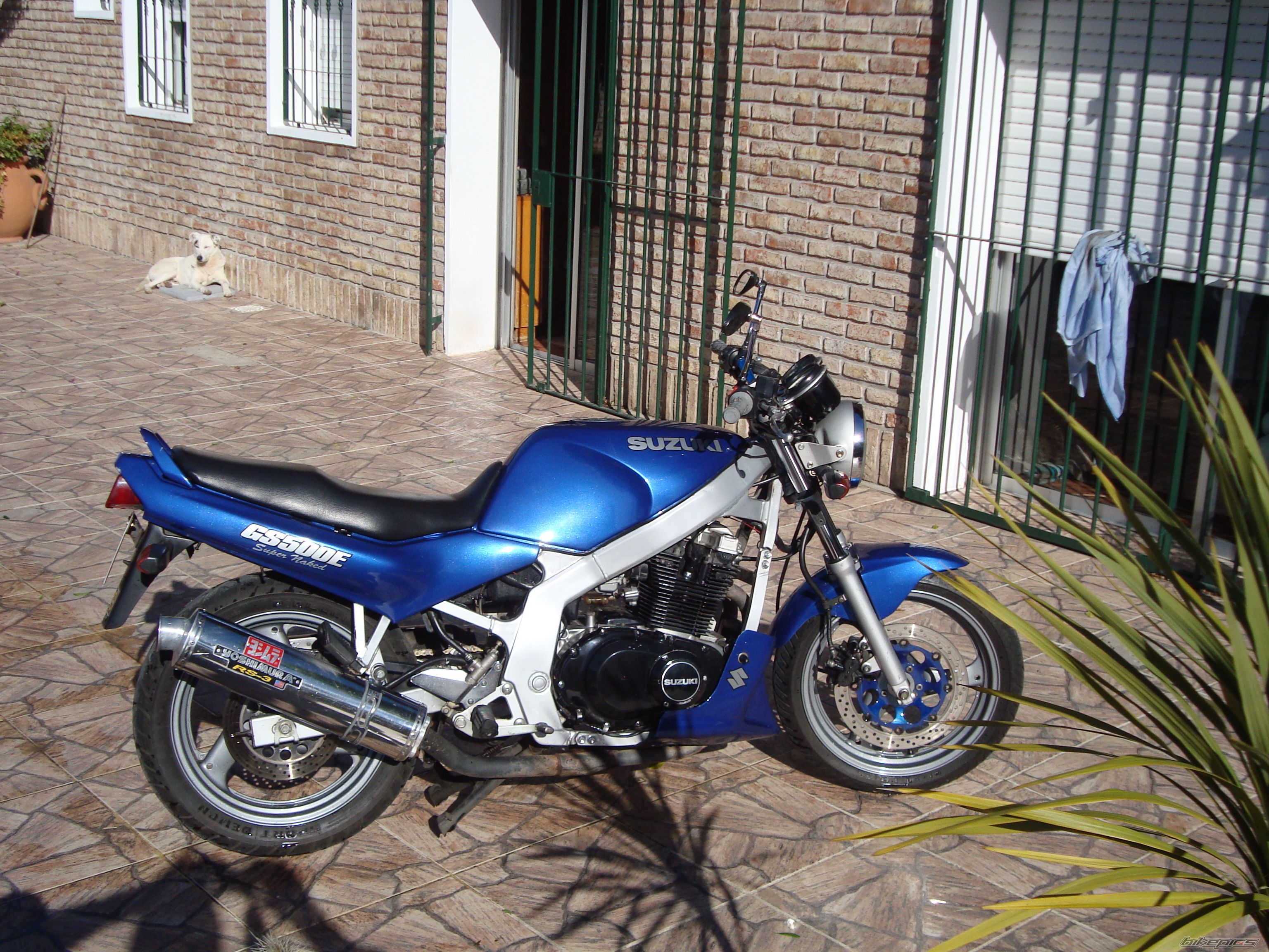 Photo 1692457