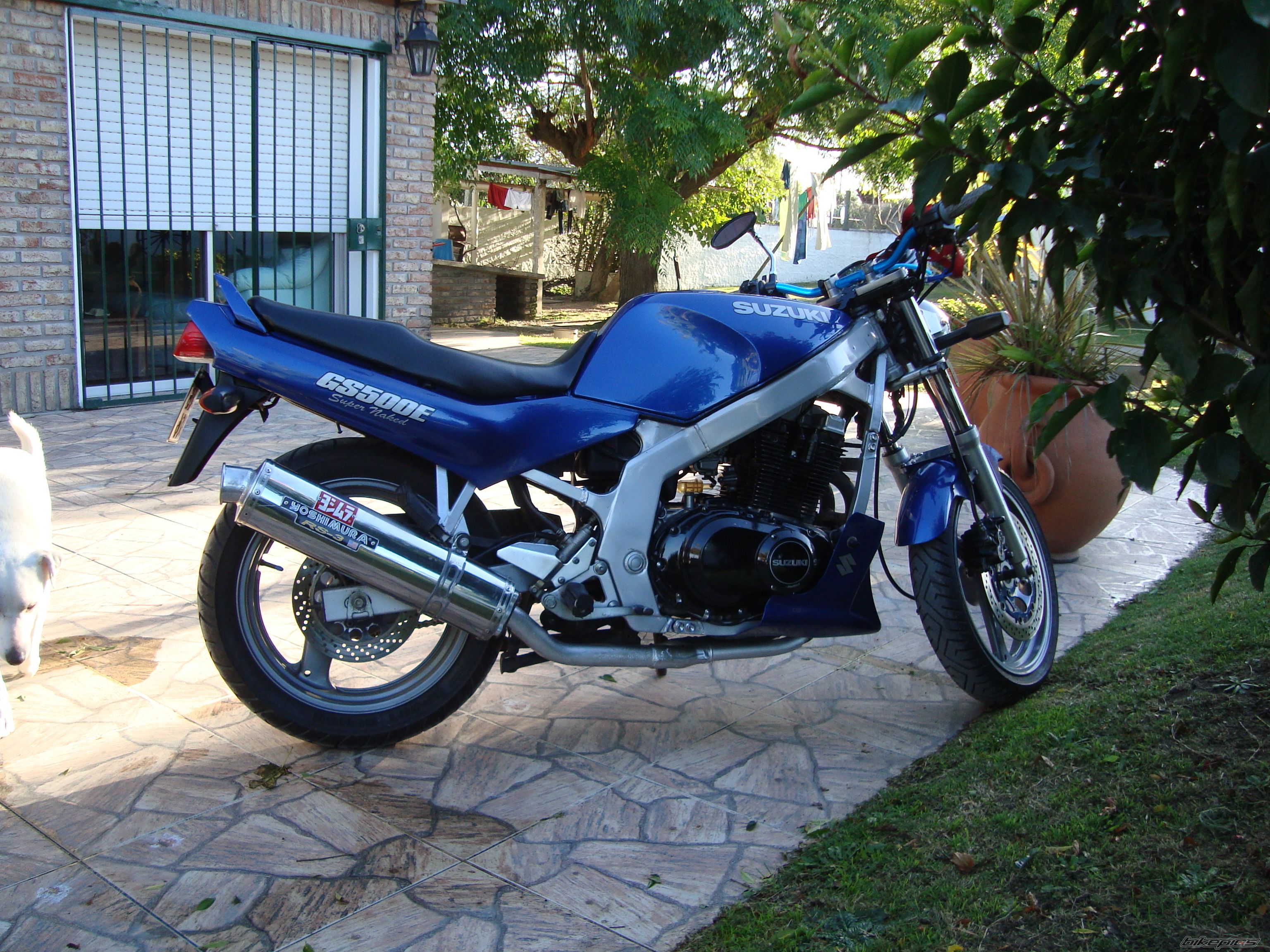 Photo 1692461