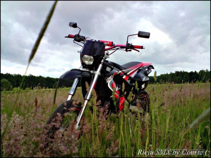 Bike Photo 1692489