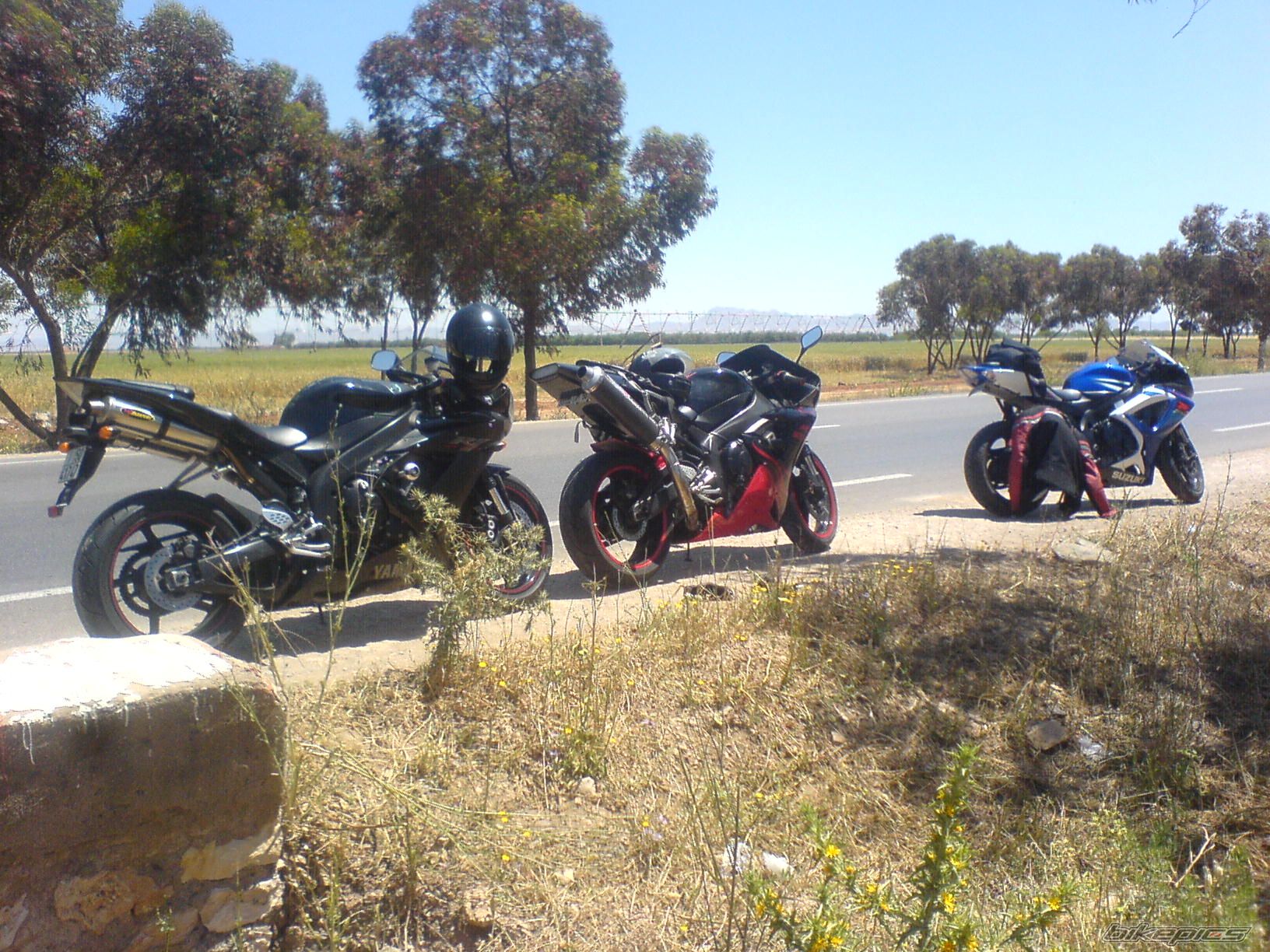 Photo 1692532