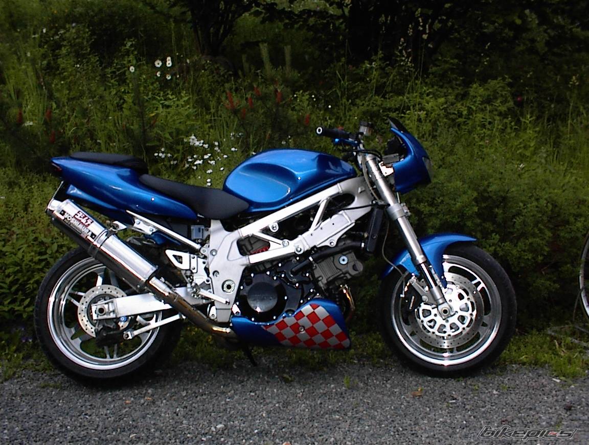 Photo 169261