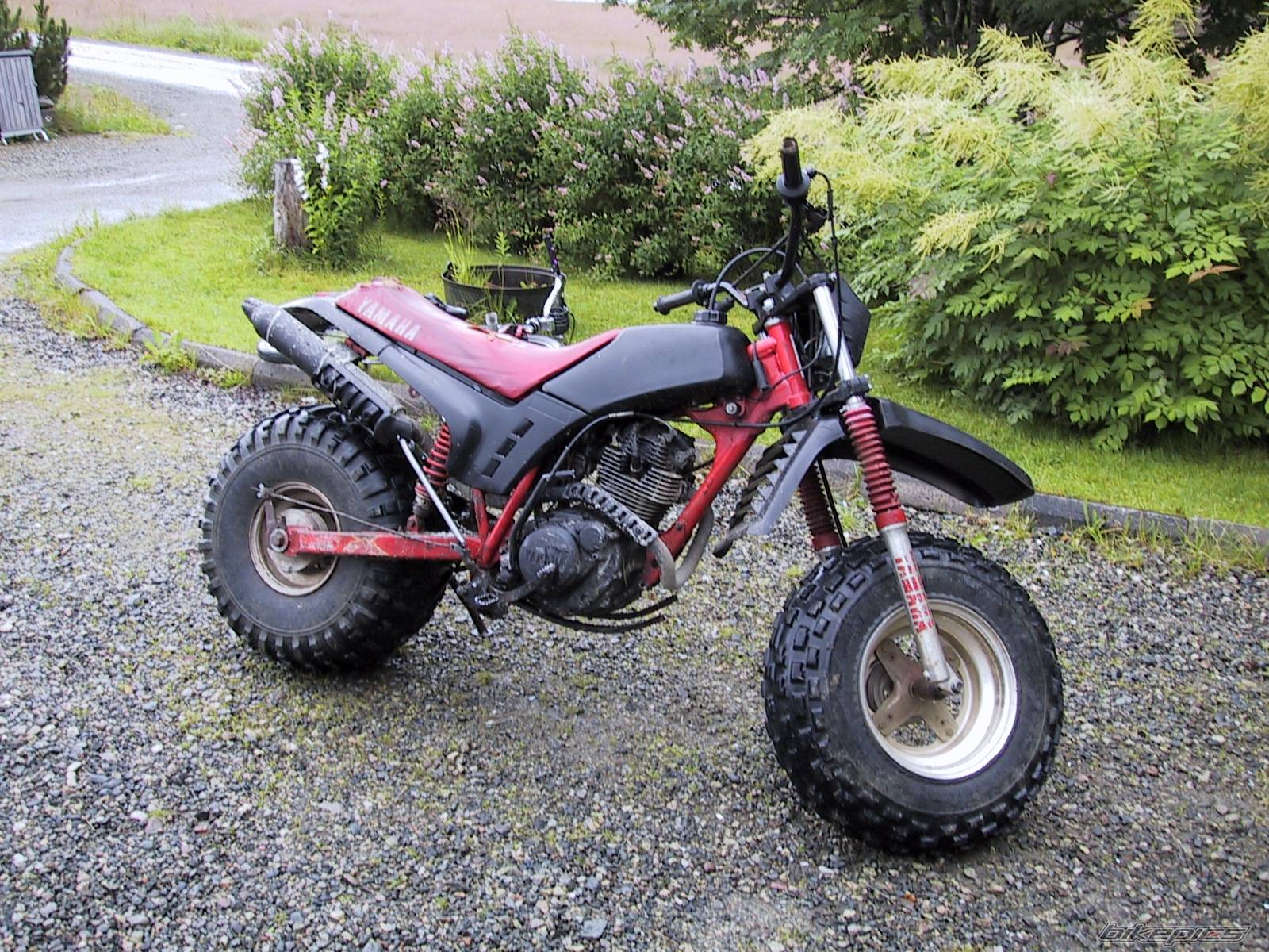 Photo 169263