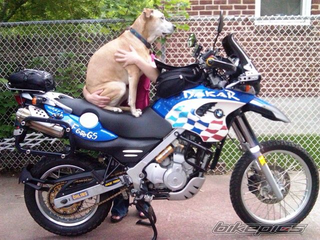 Photo 1692707