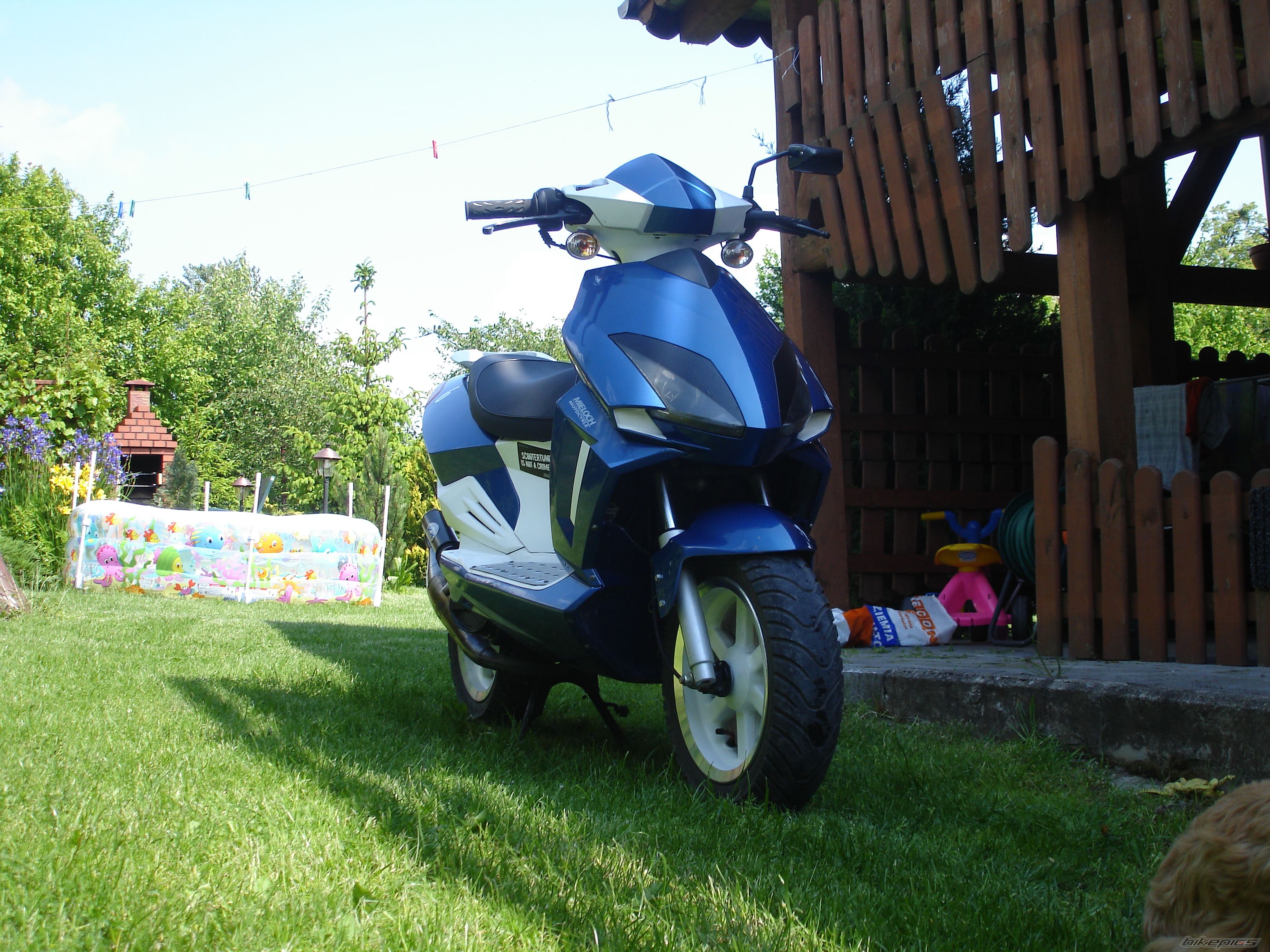 Photo 1692812