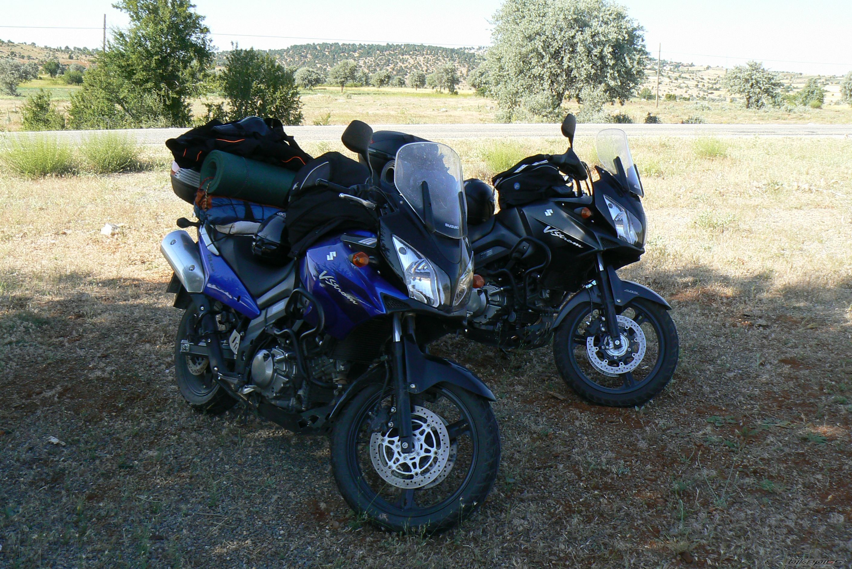 Photo 1692818