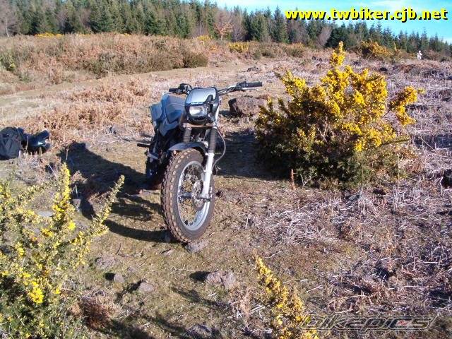 Bike Photo 169286