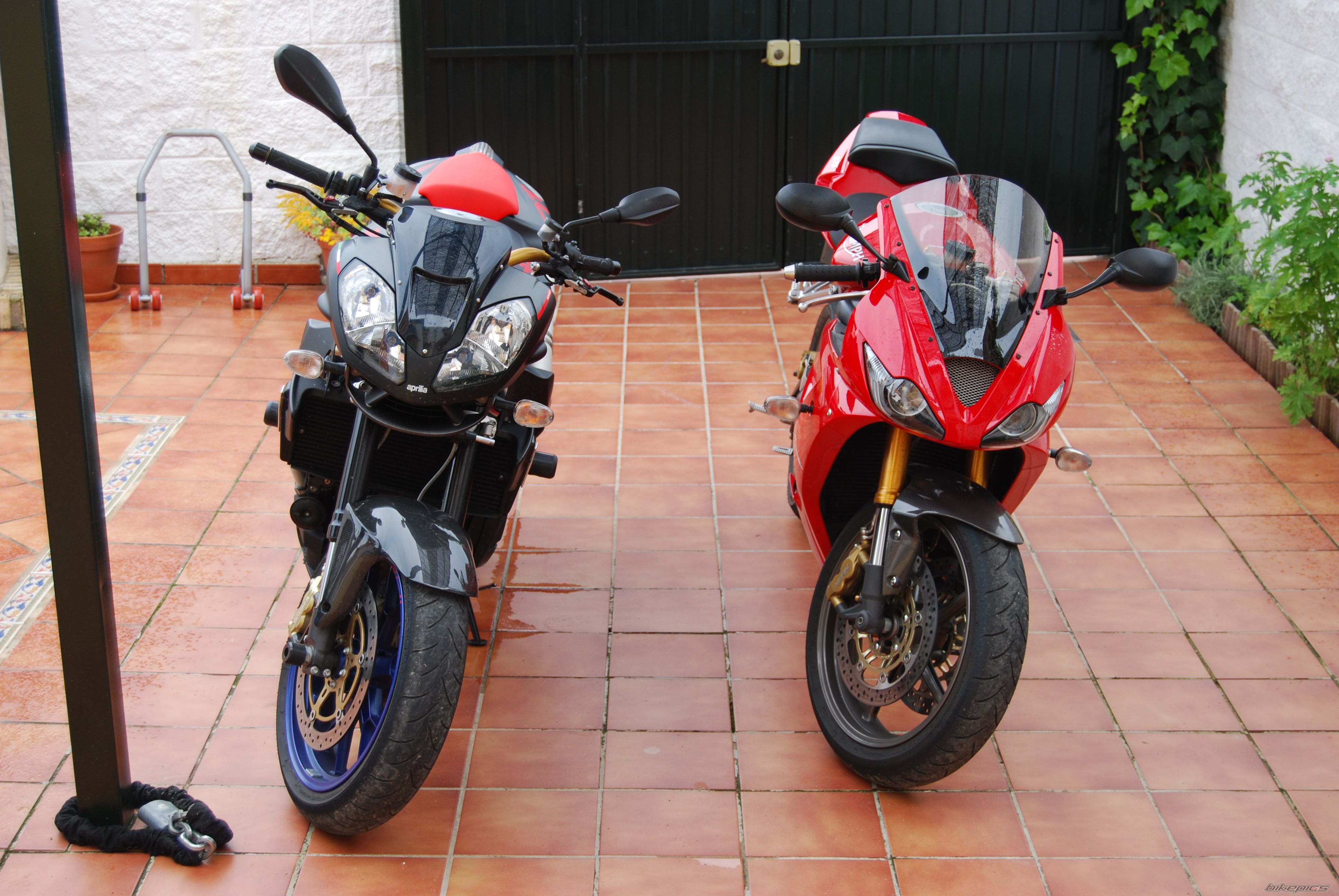 Photo 1692905