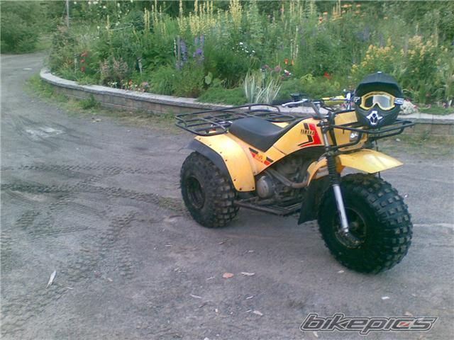 Photo 1693084