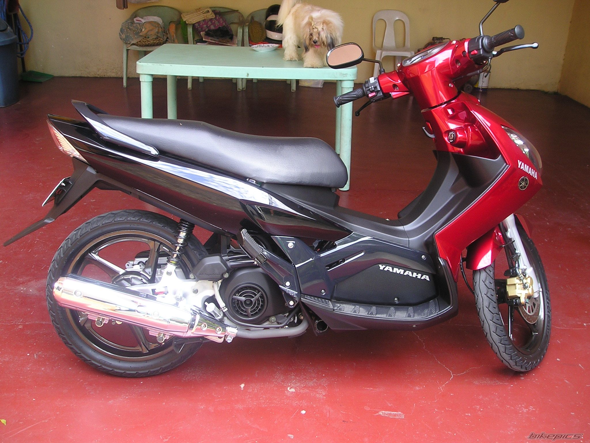 Photo 1693136