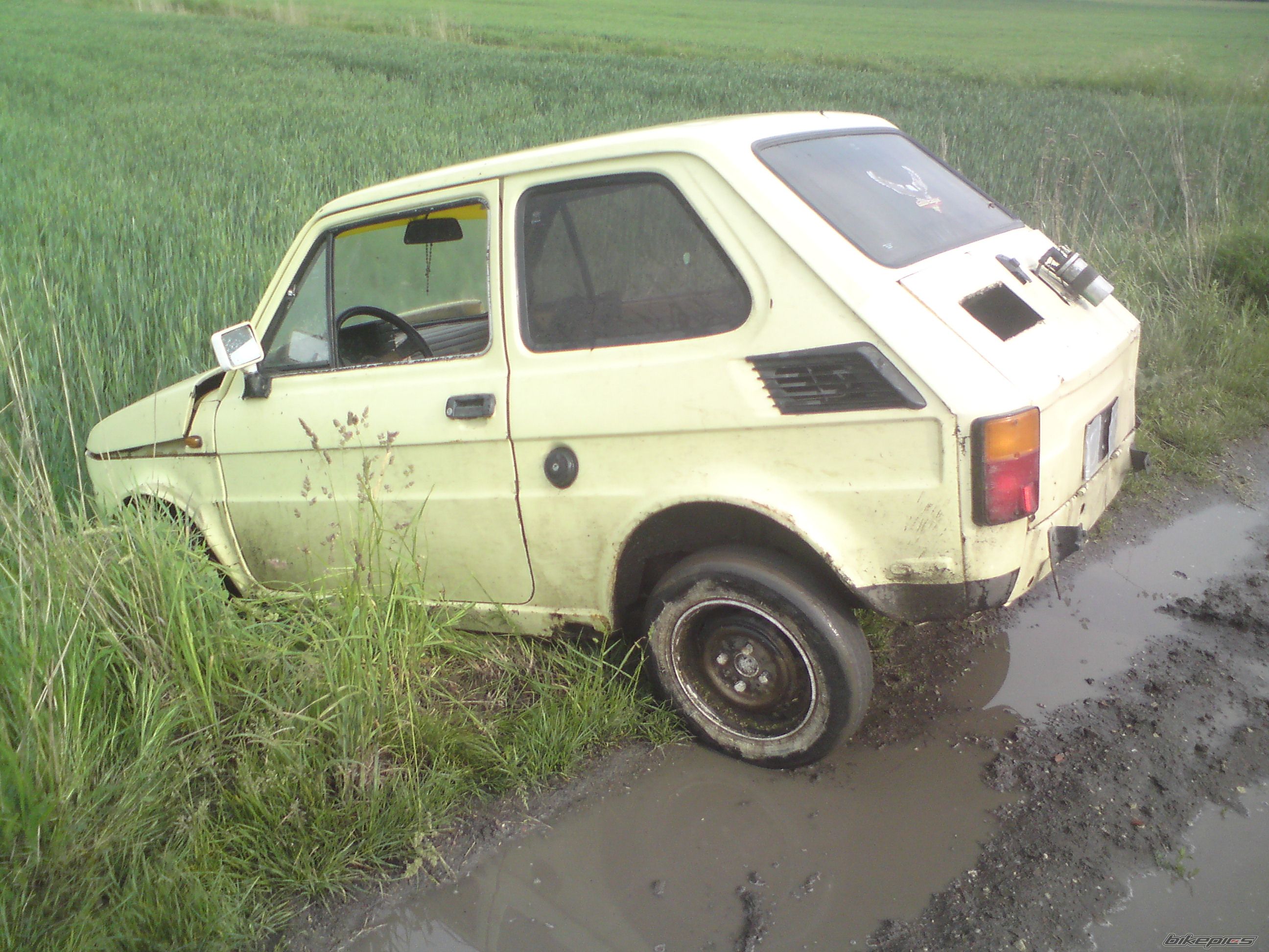 Photo 1693334