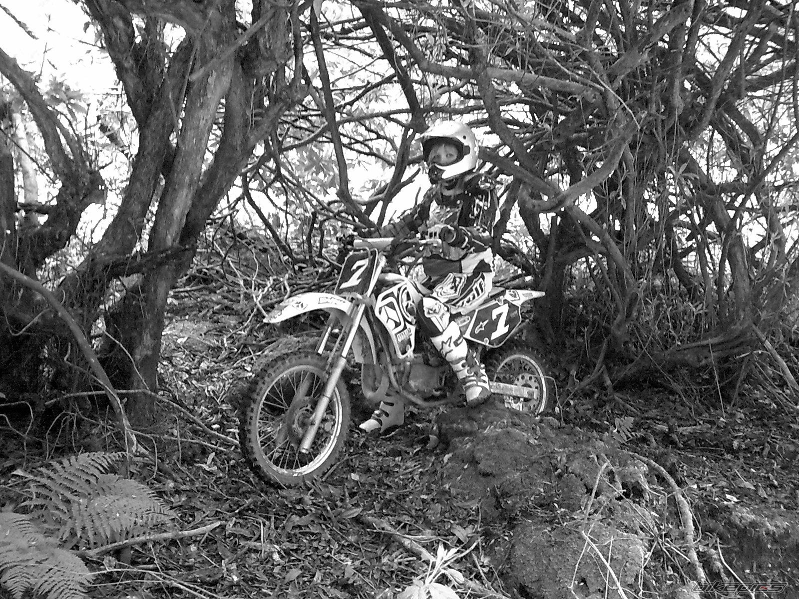 Photo 1693657