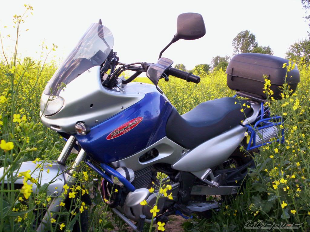 Photo 1693703