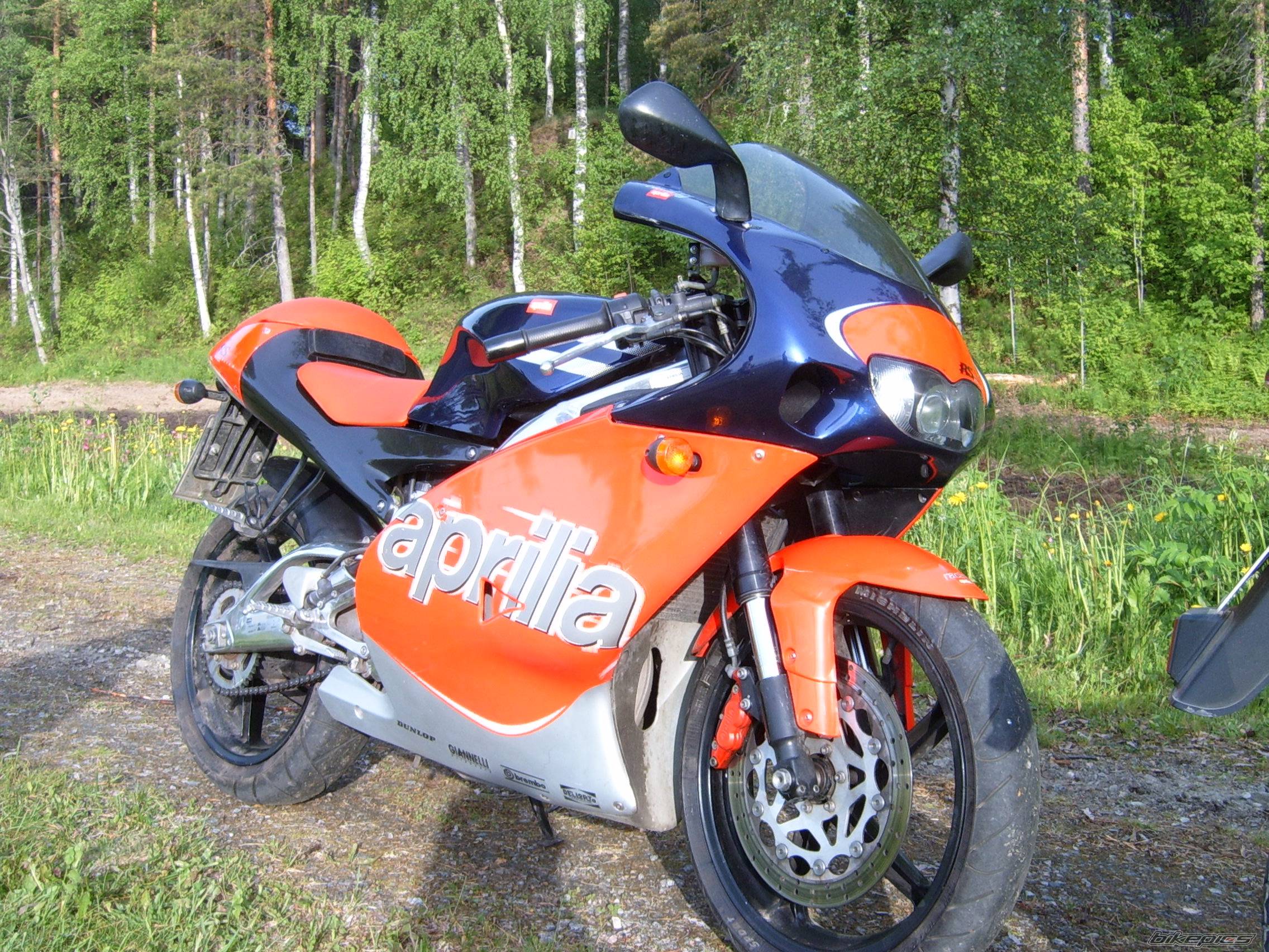 Photo 169390
