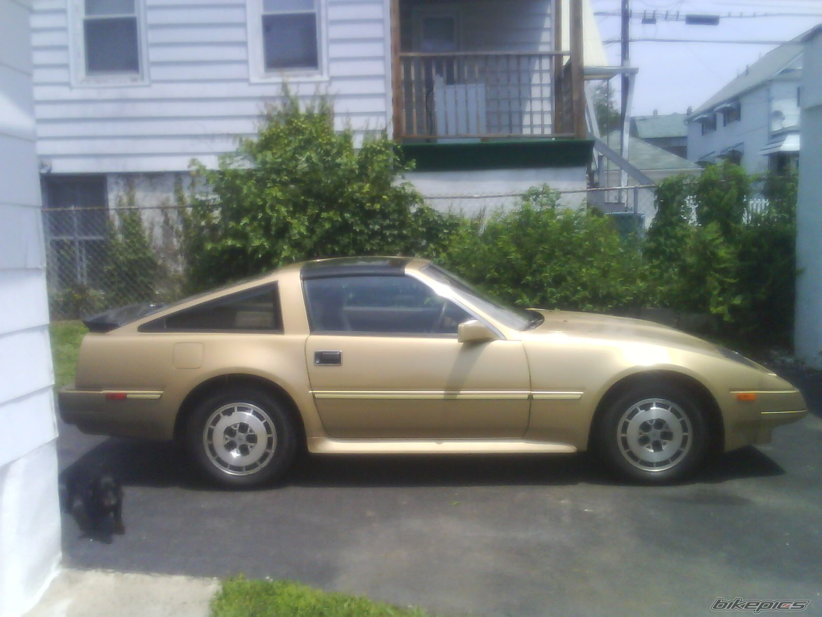 Photo 1693956
