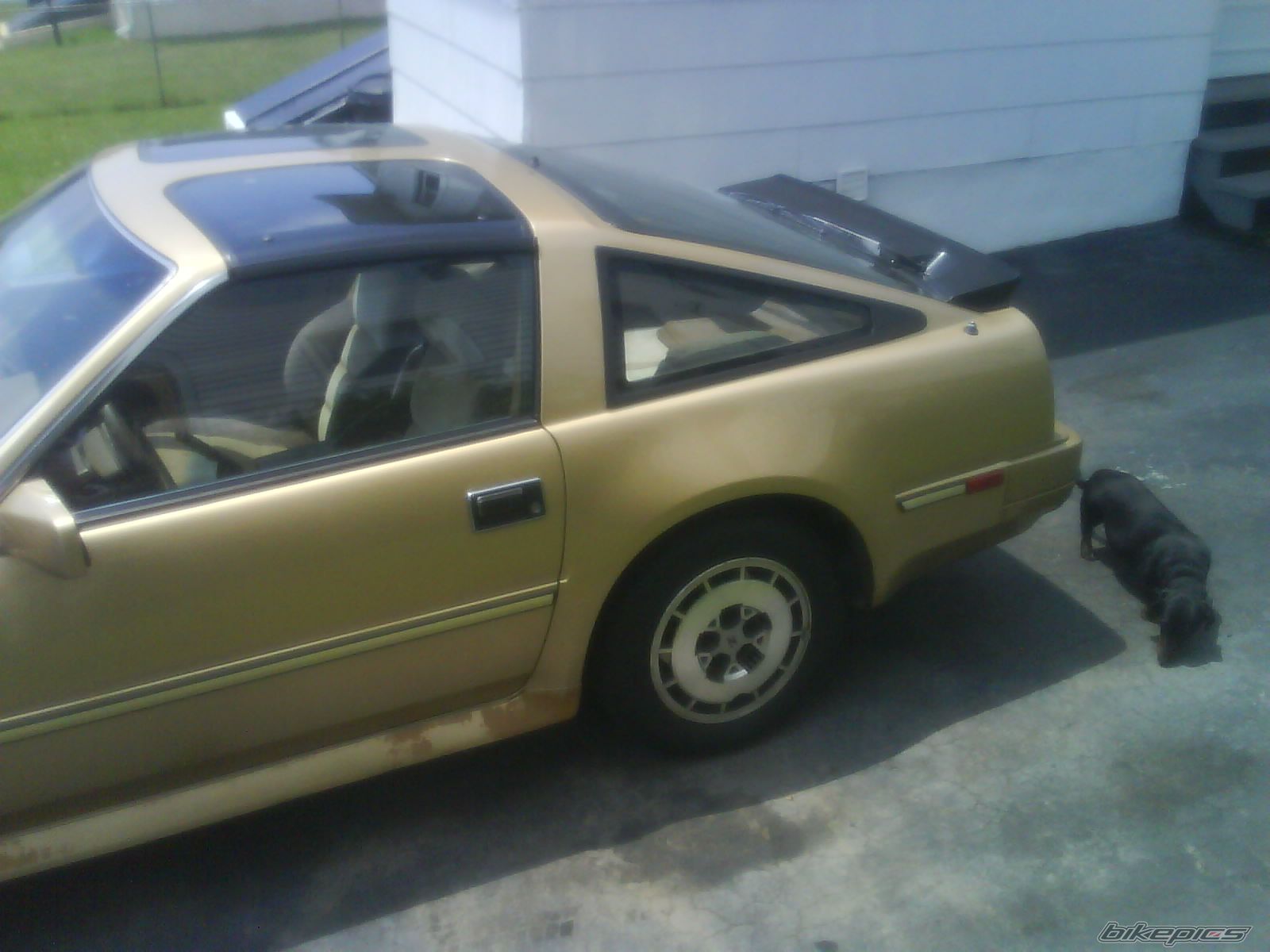 Photo 1693958