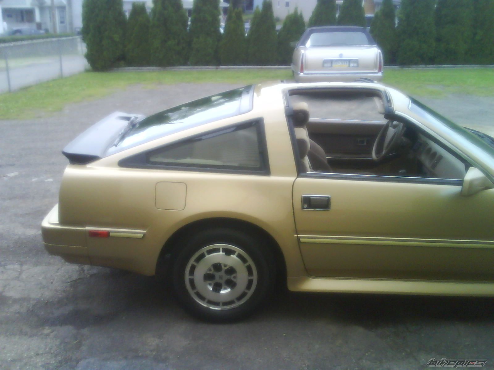 Photo 1693986