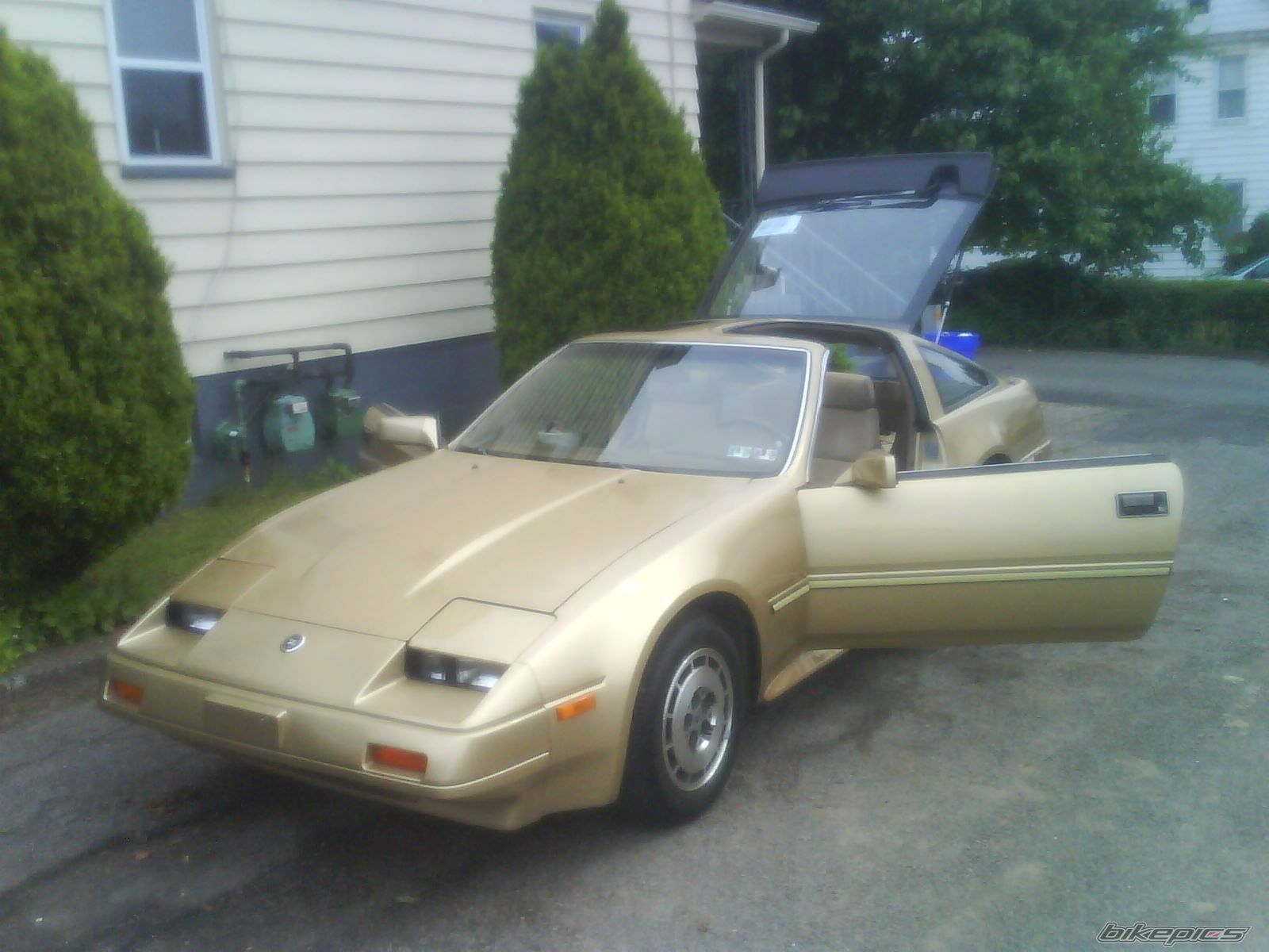 Photo 1694011