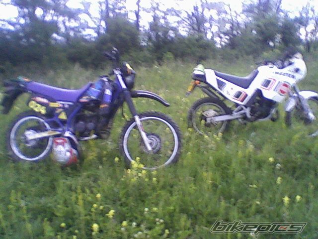 Photo 1694143