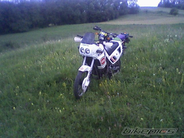 Photo 1694148