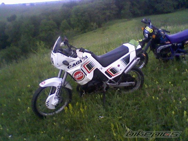 Photo 1694149
