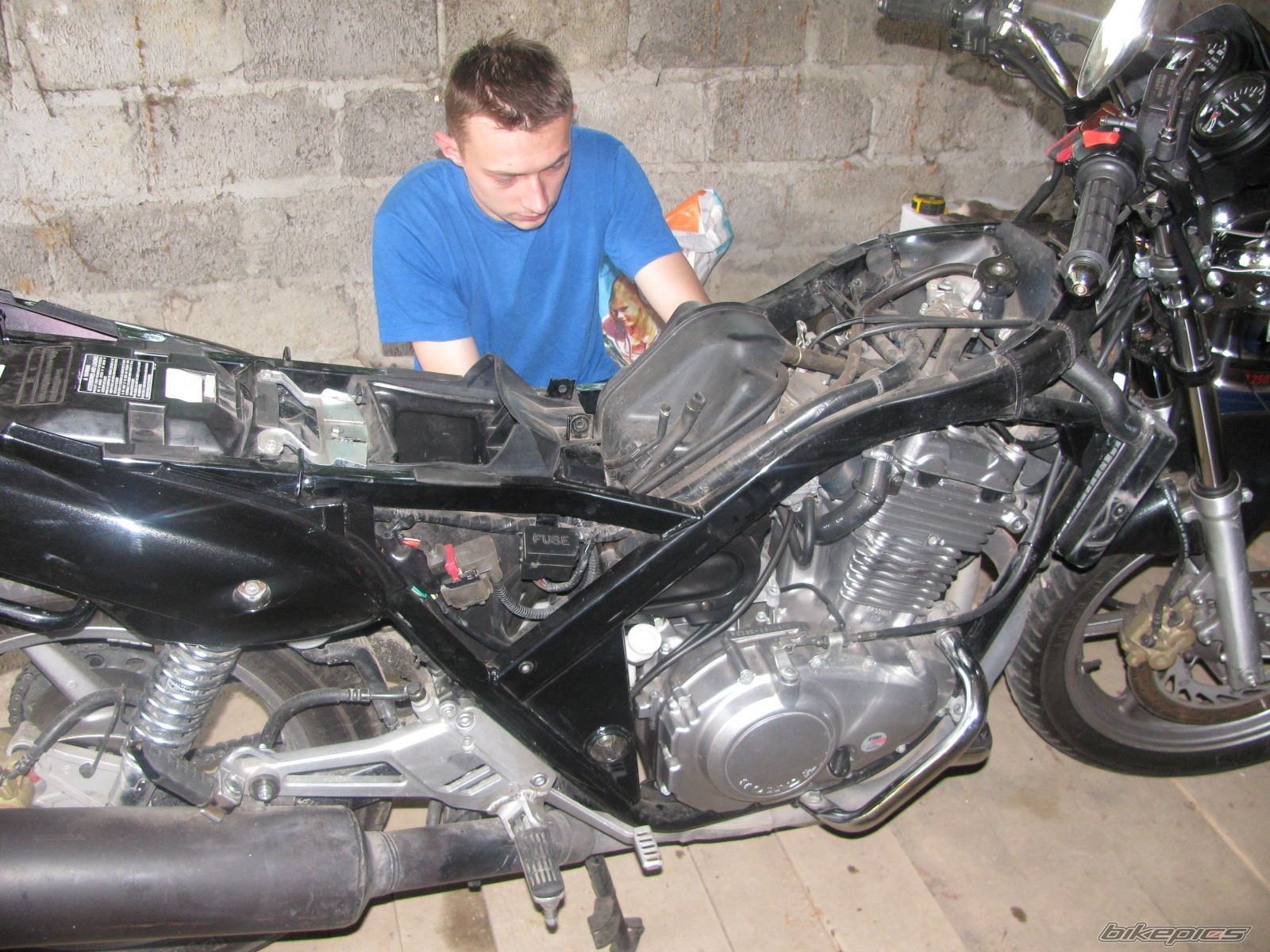 Photo 1694176