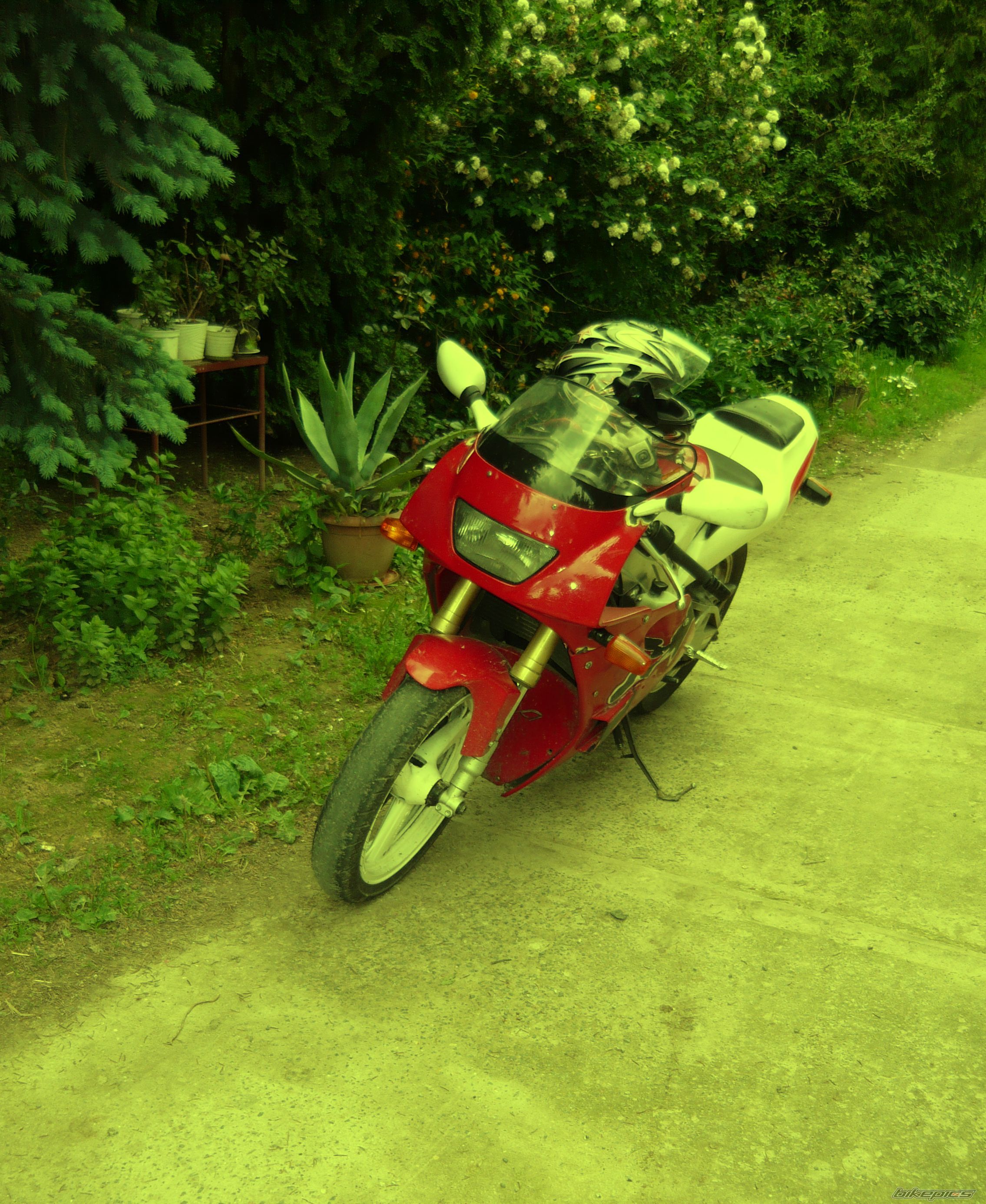 Photo 1694278