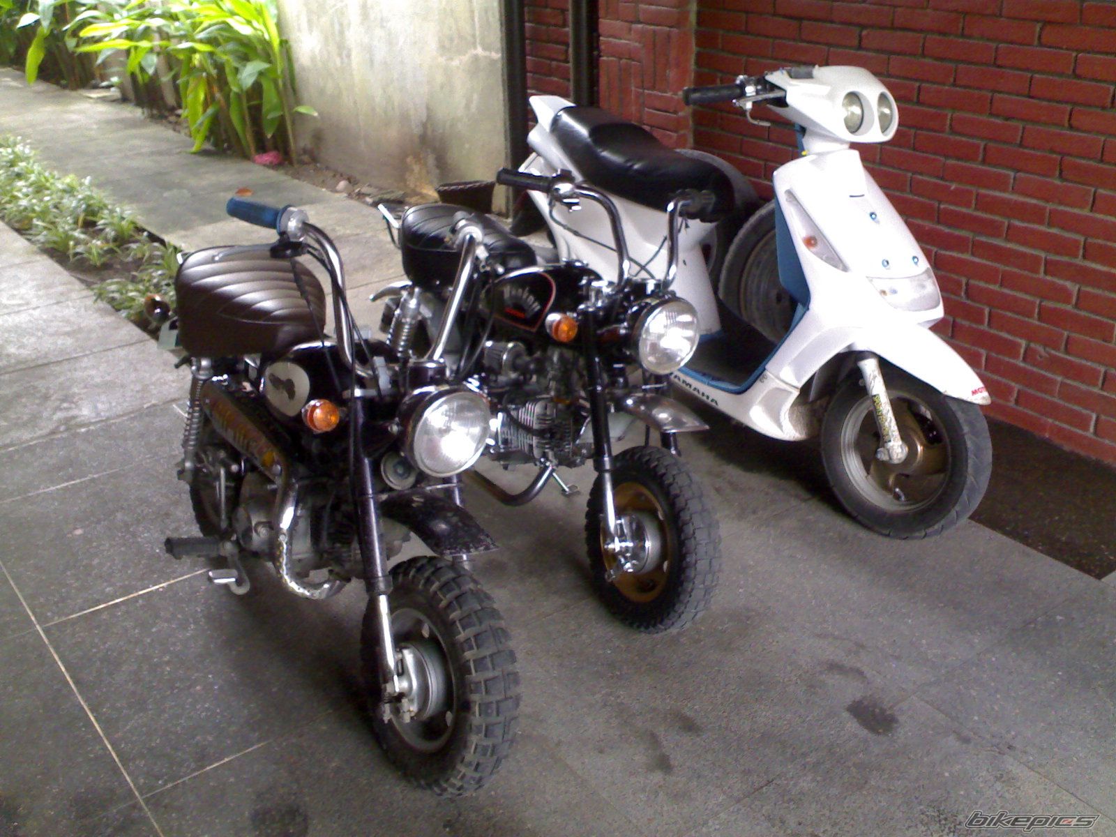 Photo 1694311