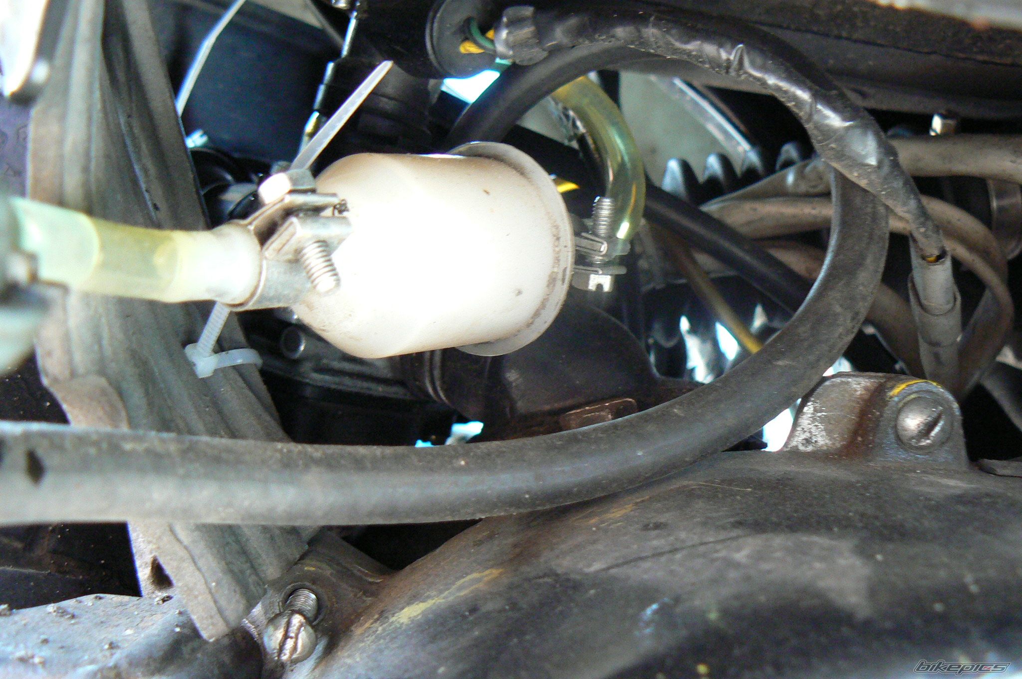 Photo 1694317
