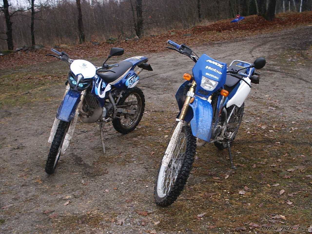 Photo 169432