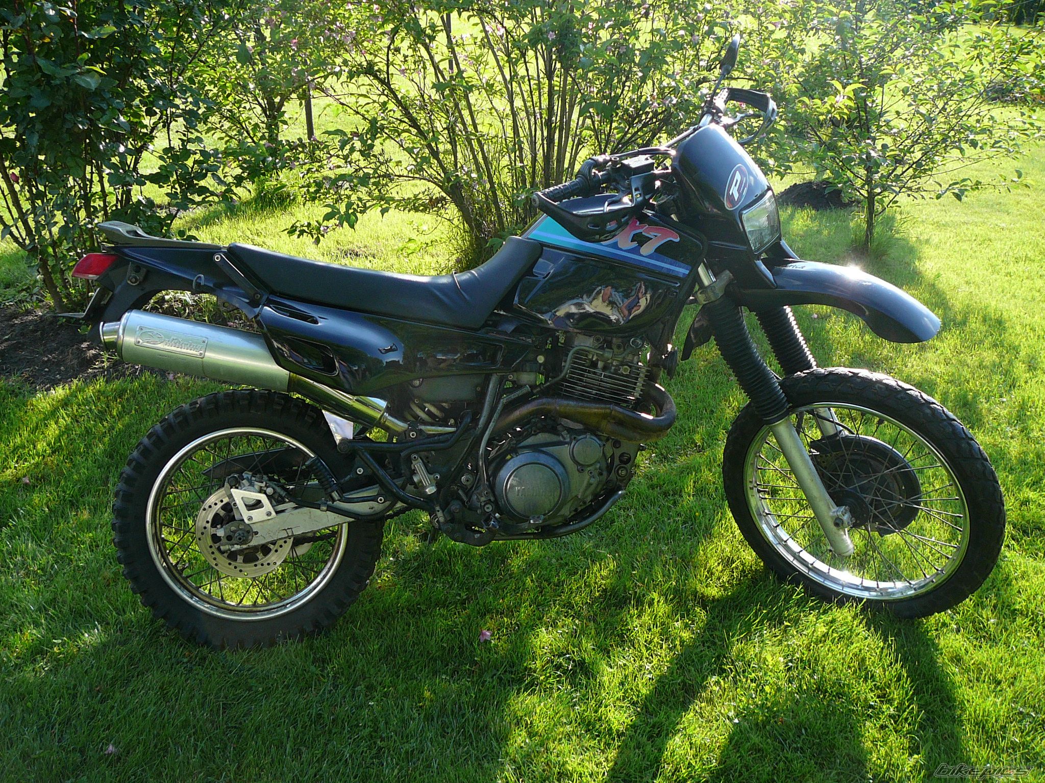 Photo 1694369