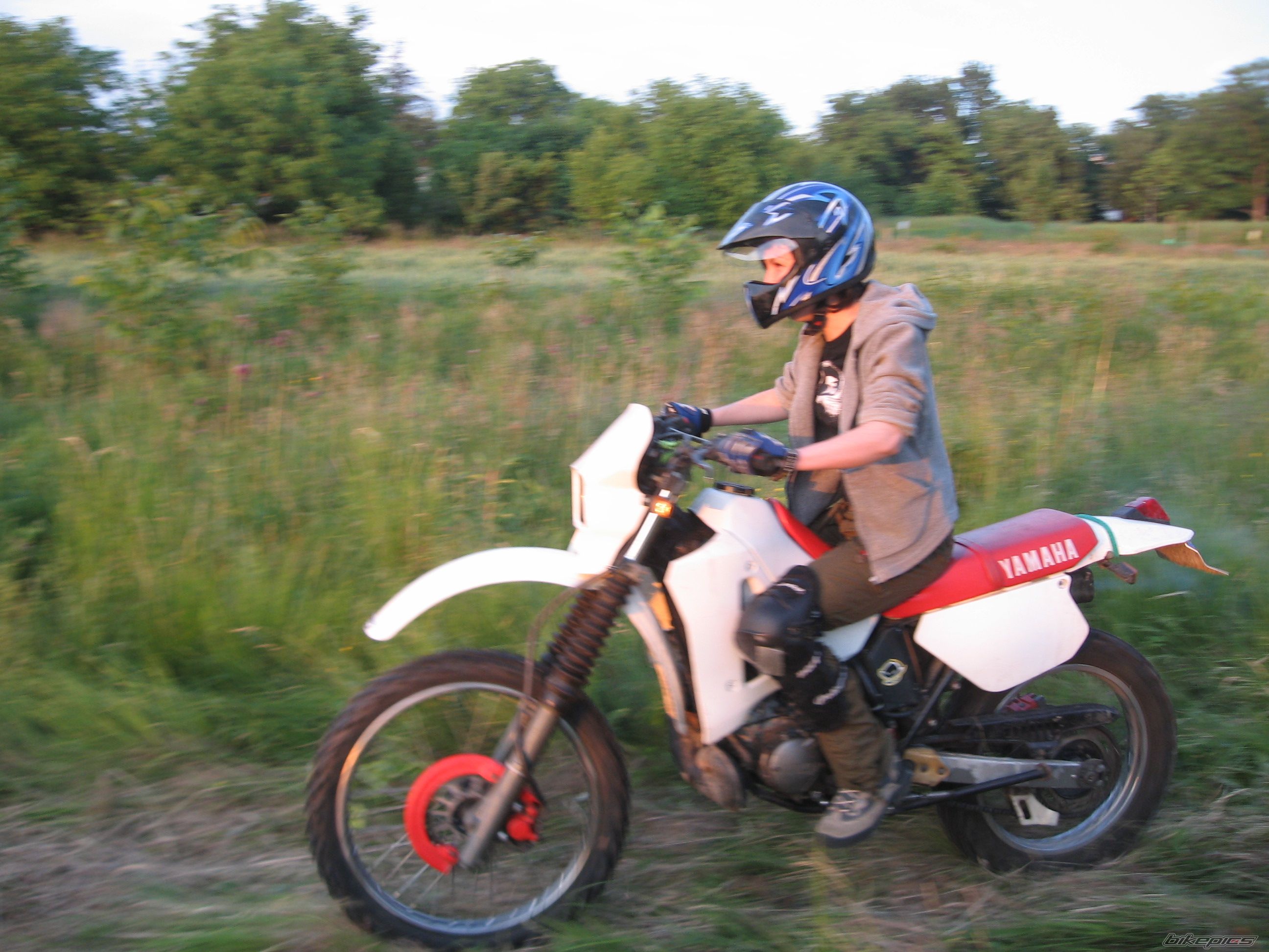 Photo 1694405