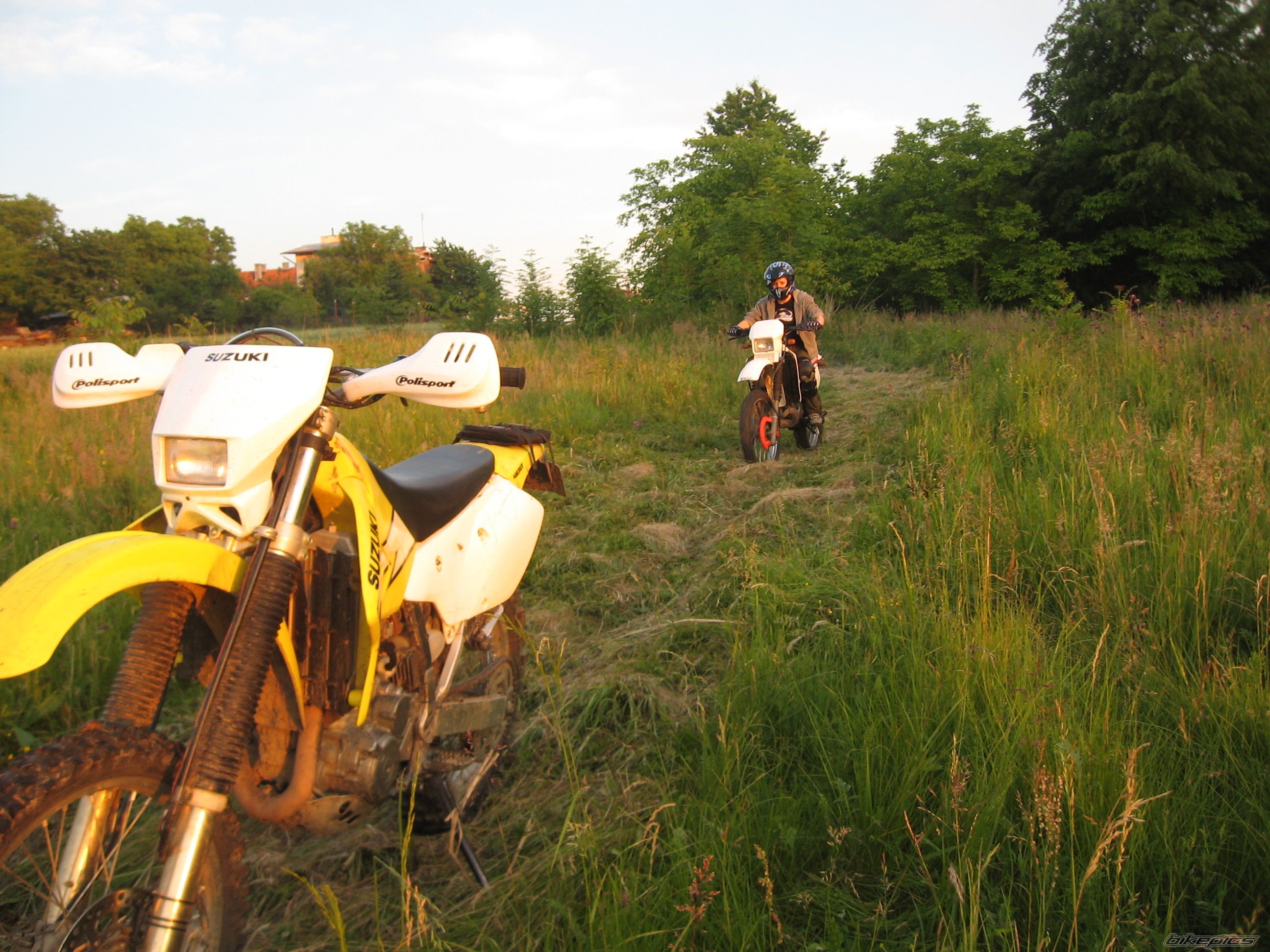 Photo 1694407