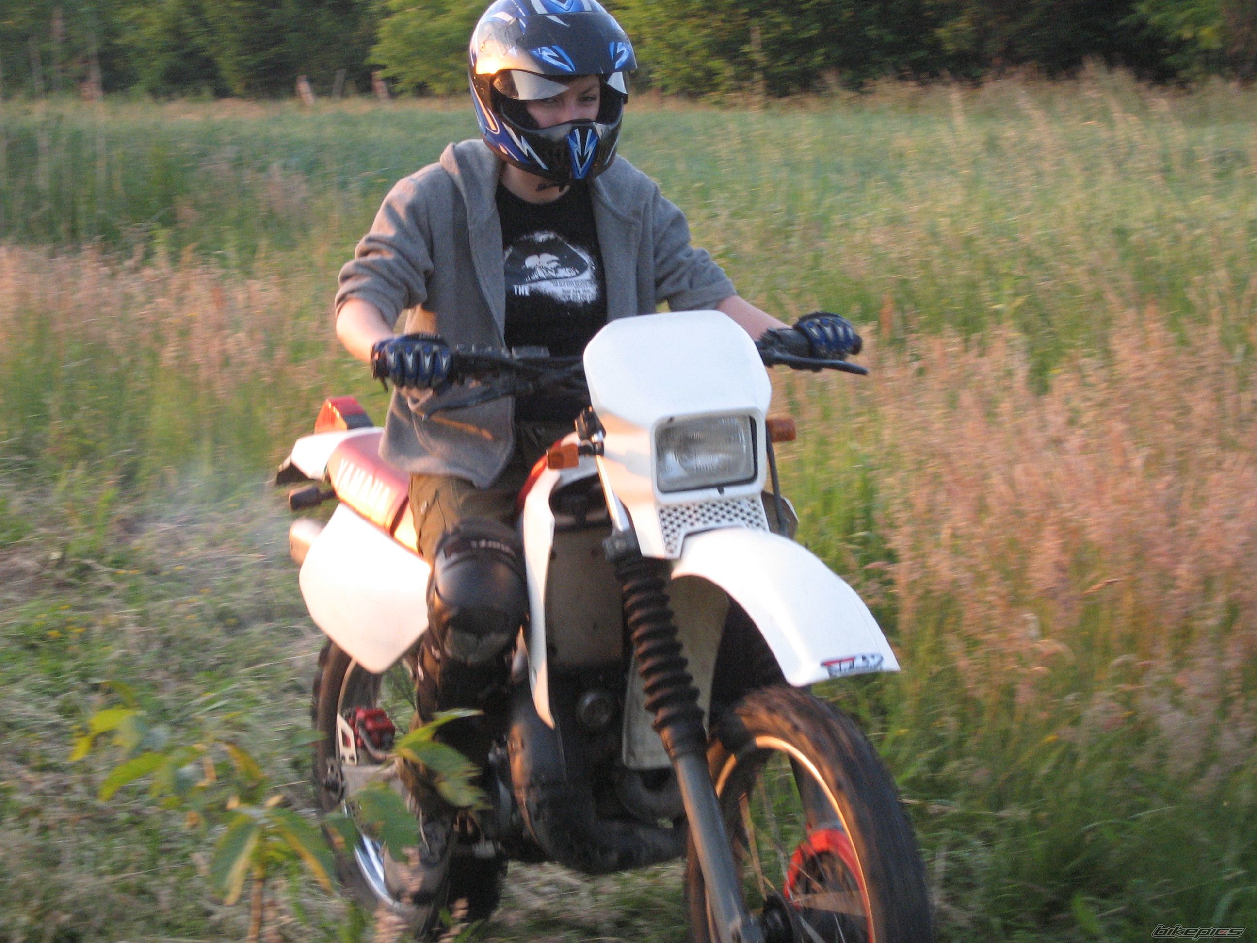 Photo 1694416