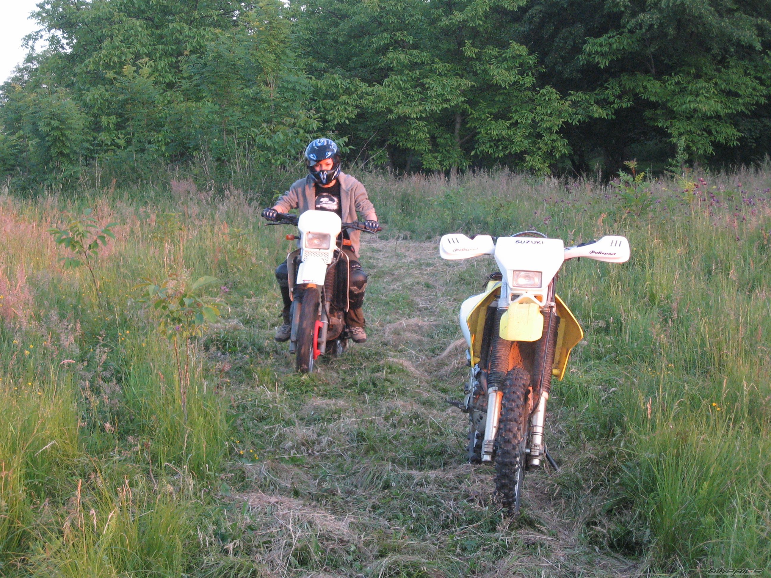 Photo 1694419