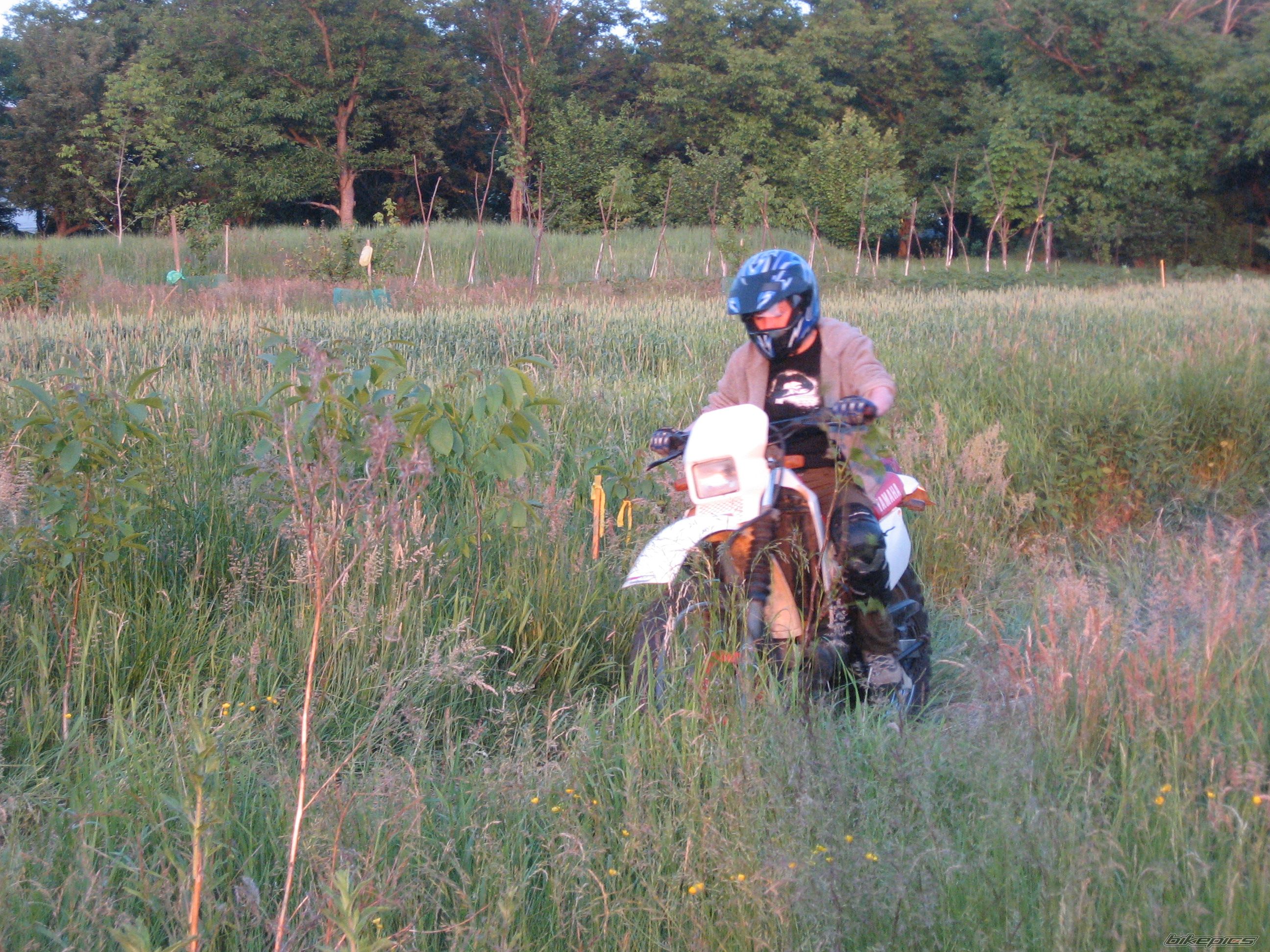 Photo 1694428
