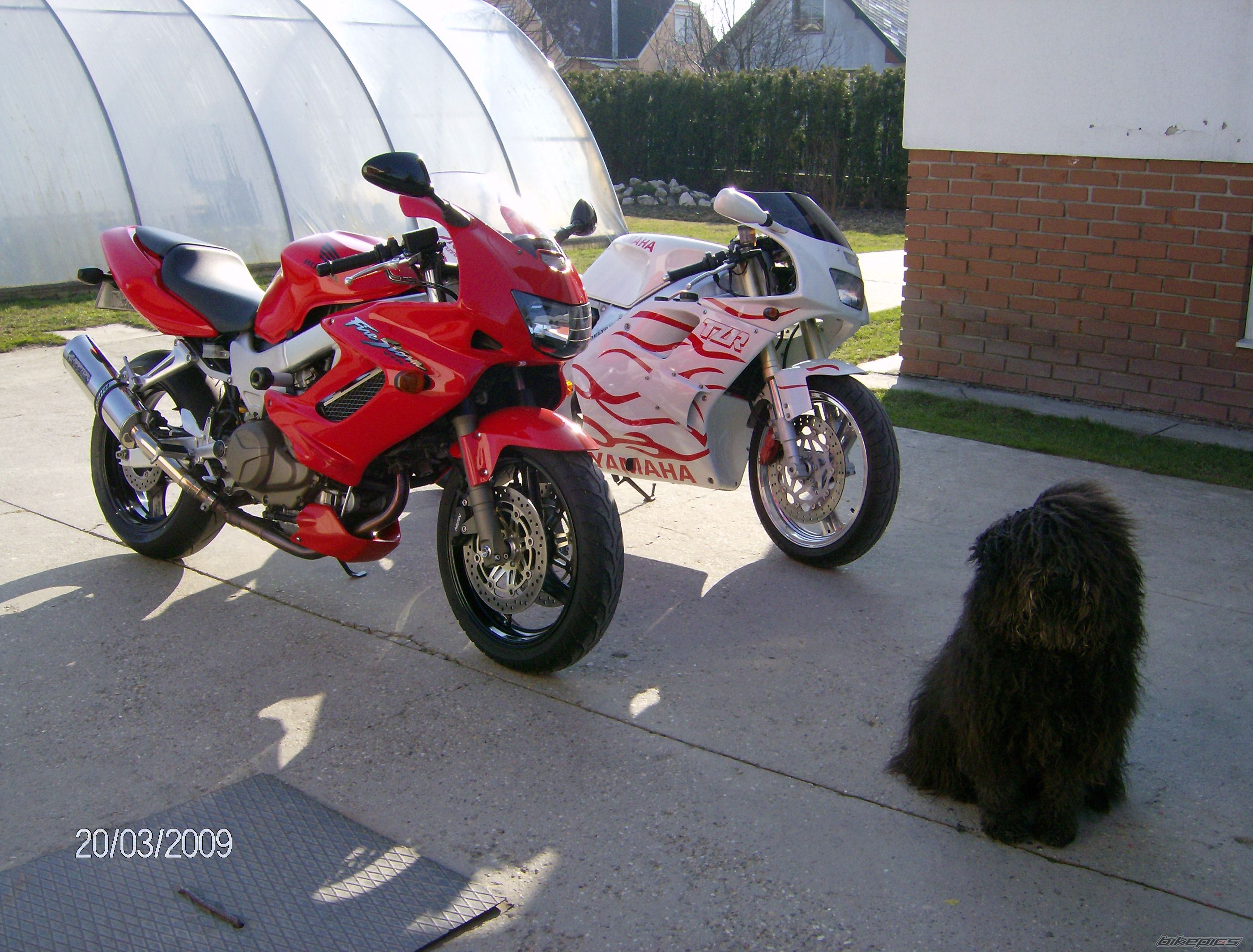 Bike Photo 1694447